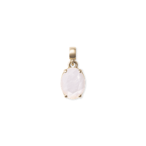 Daniel Wellington DW Charm Elemental One Size Gold