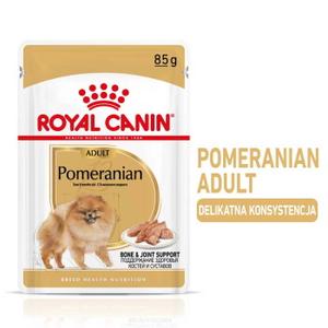 ROYAL CANIN Breed Pomeranian karma mokra dla szpica karłowatego w postaci musu (>8 miesięcy)12x85g 12x85 g