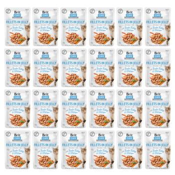 Brit Care Cat Pouch Fillets in Jelly with Tender Turkey & Shrimps 24 x 85 g