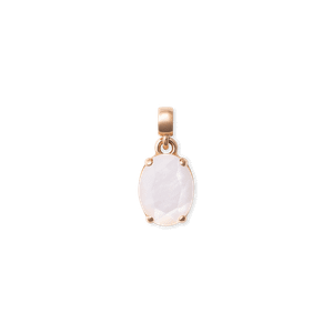 Daniel Wellington DW Charm Elemental One Size Rose Gold