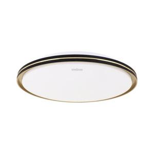 Plafoniera FIESTA LED C 24 W cct strühm