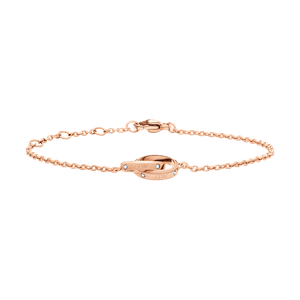 Daniel Wellington DW Classic Unity Lumine 155-185 mm Rose Gold