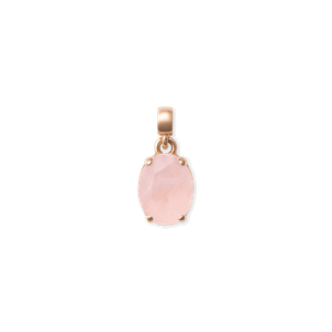 Daniel Wellington DW Charm Elemental One Size Rose Gold