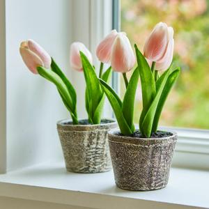 Tulipan dekoracyjny, zestaw 2 szt. Zéphine
