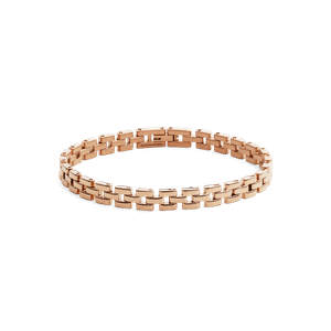 Daniel Wellington DW Link Perfect Pair 155mm Rose Gold