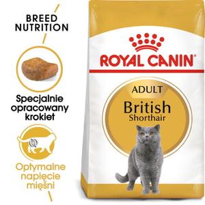 ROYAL CANIN British Shorthair Adult 10 kg
