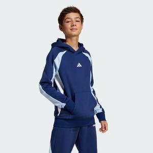 Seasonal Essentials Colorblock Fleece Hoodie Kids