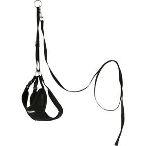 Kerbl Szelki dla szczeniąt ze smyczą, czarne 24–44 cm/10 mm
