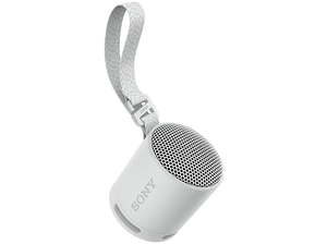 Głośnik bezprzewodowy SONY SRS-XB100 Szary