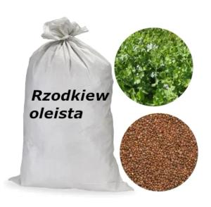 RZODKIEW OLEISTA materiał paszowy nasiona 25kg