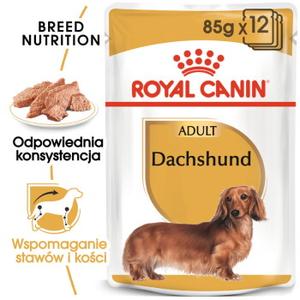 ROYAL CANIN Jamnik Adult Mousse 12x85 g