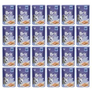 Brit Premium Cat Adult Delicate Fillets in Jelly with Salmon 24 x 85 g