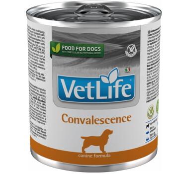 VetLife Farmina Convalescence Regeneracja 6 x 300 g
