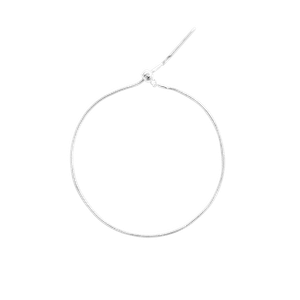 Daniel Wellington DW Charm snake < 185mm Silver