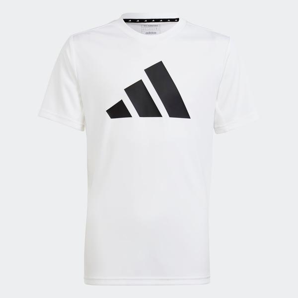 Koszulka Train Essentials AEROREADY Logo Regular-Fit