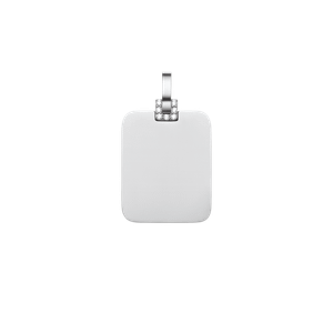 Daniel Wellington DW Pendant Detail Crystal n/a Silver