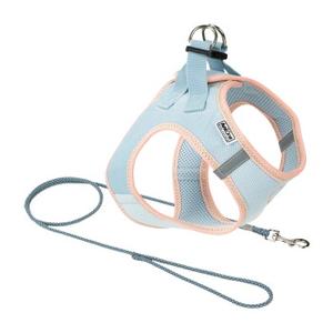 AniOne Pepe&Kitty puppy set niebieski M