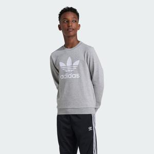 Bluza Trefoil Crew Kids