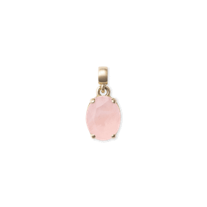 Daniel Wellington DW Charm Elemental One Size Gold