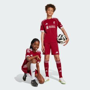 Spodenki podstawowe Liverpool FC 25/26