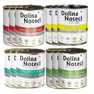 DOLINA NOTECI PREMIUM mix smaków 12x 800g