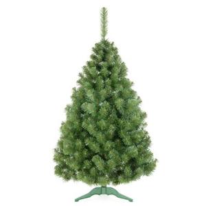 Sosna syberyjska 220 cm zielona