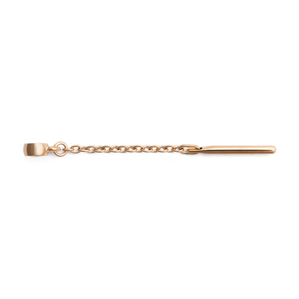 Daniel Wellington DW Charm Elemental One Size Rose Gold
