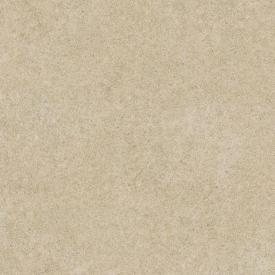 Gres szkliwiony Hektor 20 mm 60 x 60 cm gat. I taupe Stargres