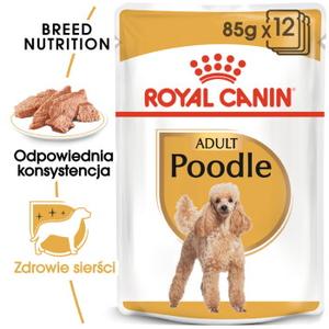 ROYAL CANIN Poodle Adult w sosie 12x85 g