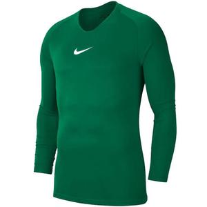 NIKE koszulka termoaktywna męska Dry Park First Layer JSY LS AV2609 302 zielona (XL)