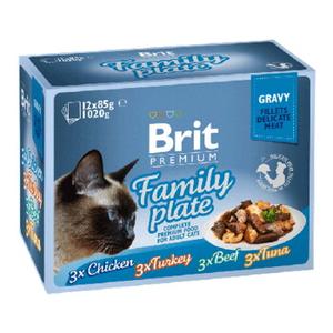 Brit Pouch Gravy Fillet Family Plate 12 x 85 g
