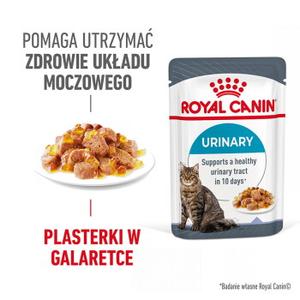 ROYAL CANIN FCN Urinary Care Jelly 12x85 g