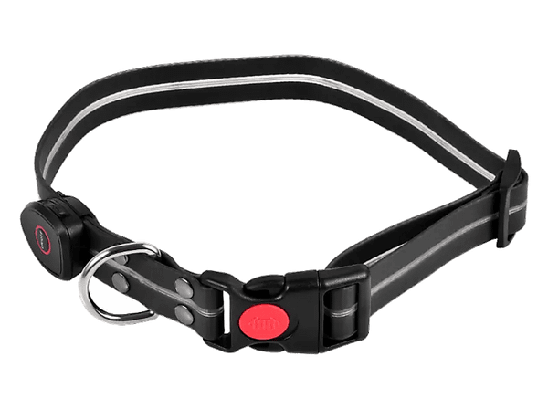 Obroża LED-owa dla psa Peti-to-Go PETI-910M