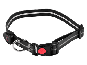 Obroża LED-owa dla psa Peti-to-Go PETI-910M