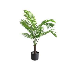Palma w doniczce 60 cm wysokość 80 cm