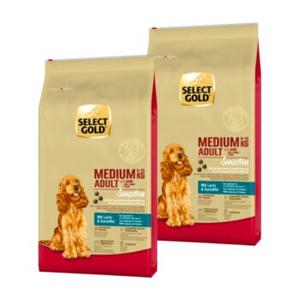 SELECT GOLD Sensitive – sucha karma dla dorosłych psów średniej wielkości Łosoś i ziemniaki 2x12 kg