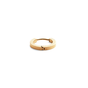 Daniel Wellington DW Earrings Micro 13mm Gold