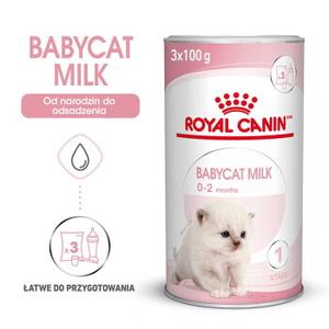 ROYAL CANIN Babycat Milk – mleko w proszku 300 g