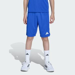 SZORTY ADIDAS SERENO