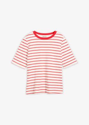 T-shirt z grubej bawełny organicznej