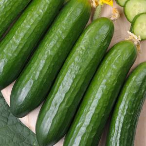 Ogórek długi EKO ok. 350 g (import)