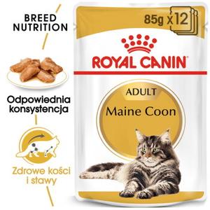 ROYAL CANIN Maine Coon Adult w sosie 12x85 g