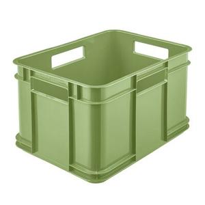 Pojemik Bruno Eco-Line Euro-Box M 35 x 27 x 22 cm 16 l zielony