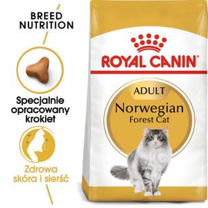 ROYAL CANIN Norwegian Forest Adult 10 kg