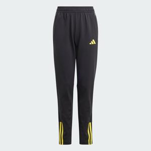 Tiro 23 Competition Training Pants