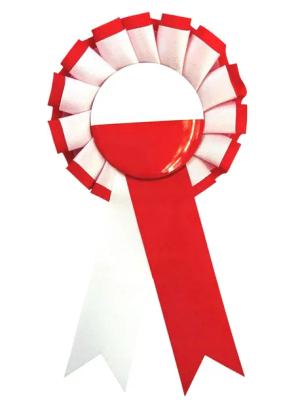KOTYLION NARODOWY Przypinka POLSKA Flaga Biało Czerwony 11 listopada marsz