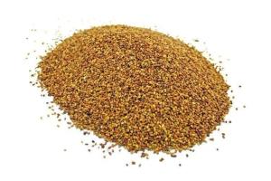 Nasiona lucerny LUCERNA paszowa Blaze Company 20kg