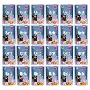Brit Pouch Gravy Fillets with Salmon 24 x 85 g