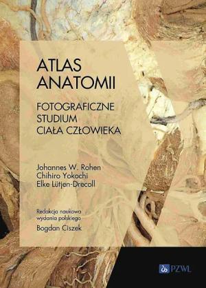 ATLAS ANATOMII. FOTOGRAFICZNE STUDIUM CIAŁA CZŁOWIEKA - Johannes W. Rohen,Chihiro Yokochi,Elke Lütjen-Drecoll