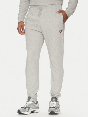 Reebok Spodnie dresowe 100221804 Szary Regular Fit